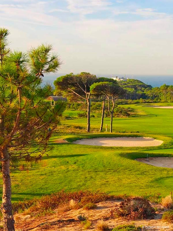 Golf course in a sunny day with the sea on the horizon.