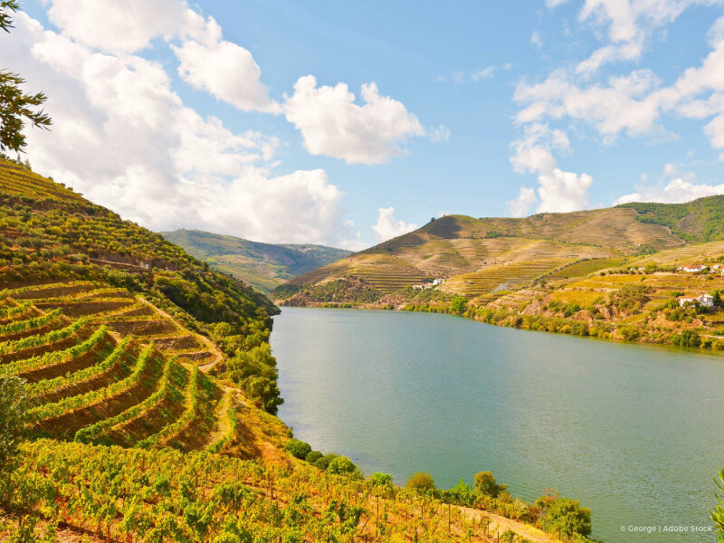 Douro landscape with calm river